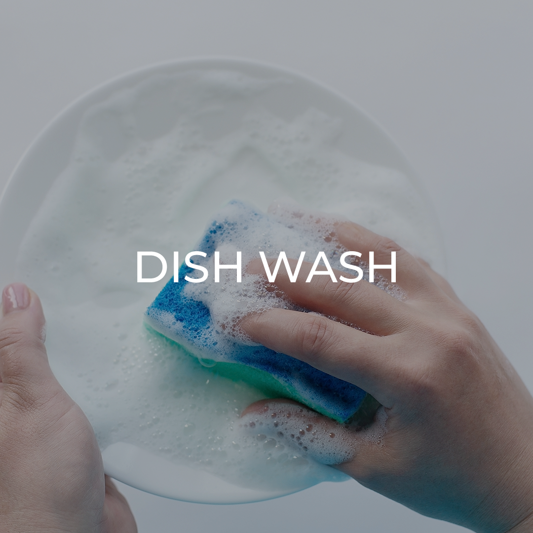 Dish Wash