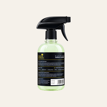 Surface Cleaner